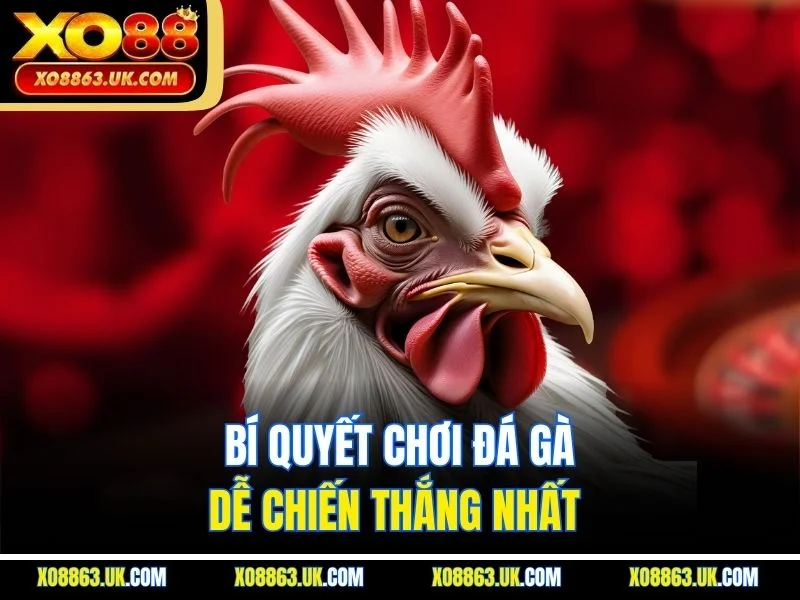 Bí quyết chơi đá gà dễ chiến thắng nhất 