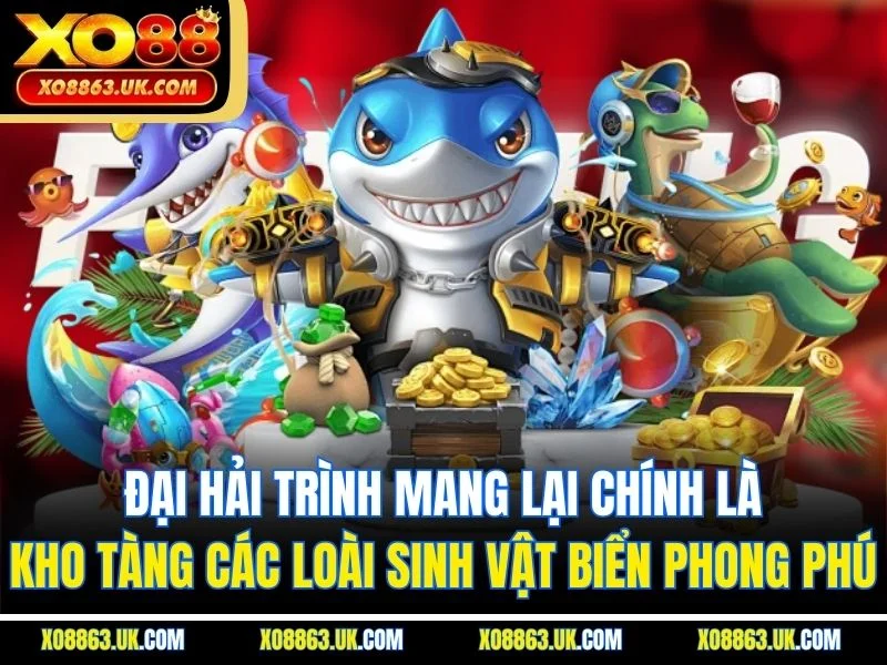 Đại hải trình mang lại chính là kho tàng các loài sinh vật biển phong phú