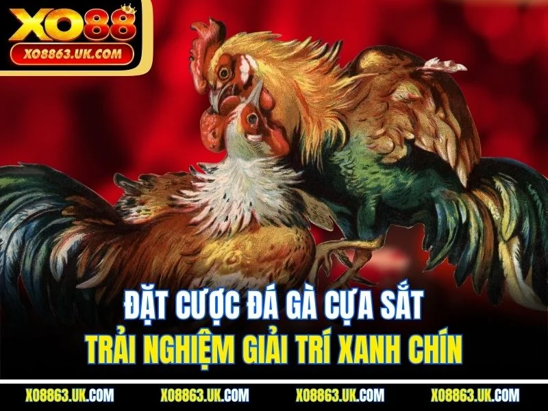 Đặt Cược Đá Gà Cựa Sắt – Trải Nghiệm Giải Trí Xanh Chín