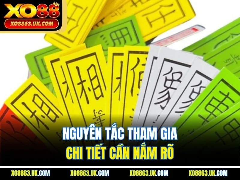 Nguyên tắc tham gia chi tiết cần nắm rõ