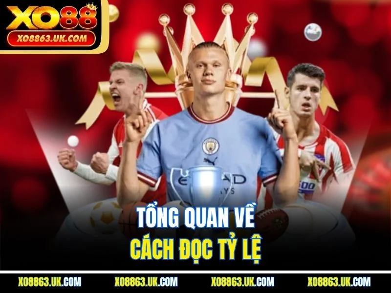 Tổng quan về cách đọc tỷ lệ